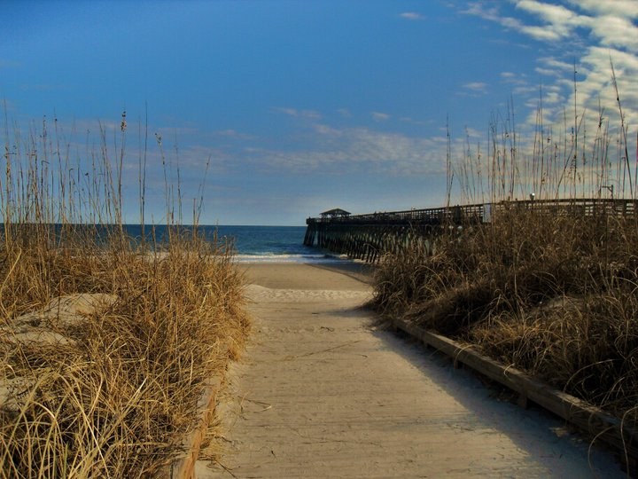 Myrtle Beach State Park in Myrtle Beach